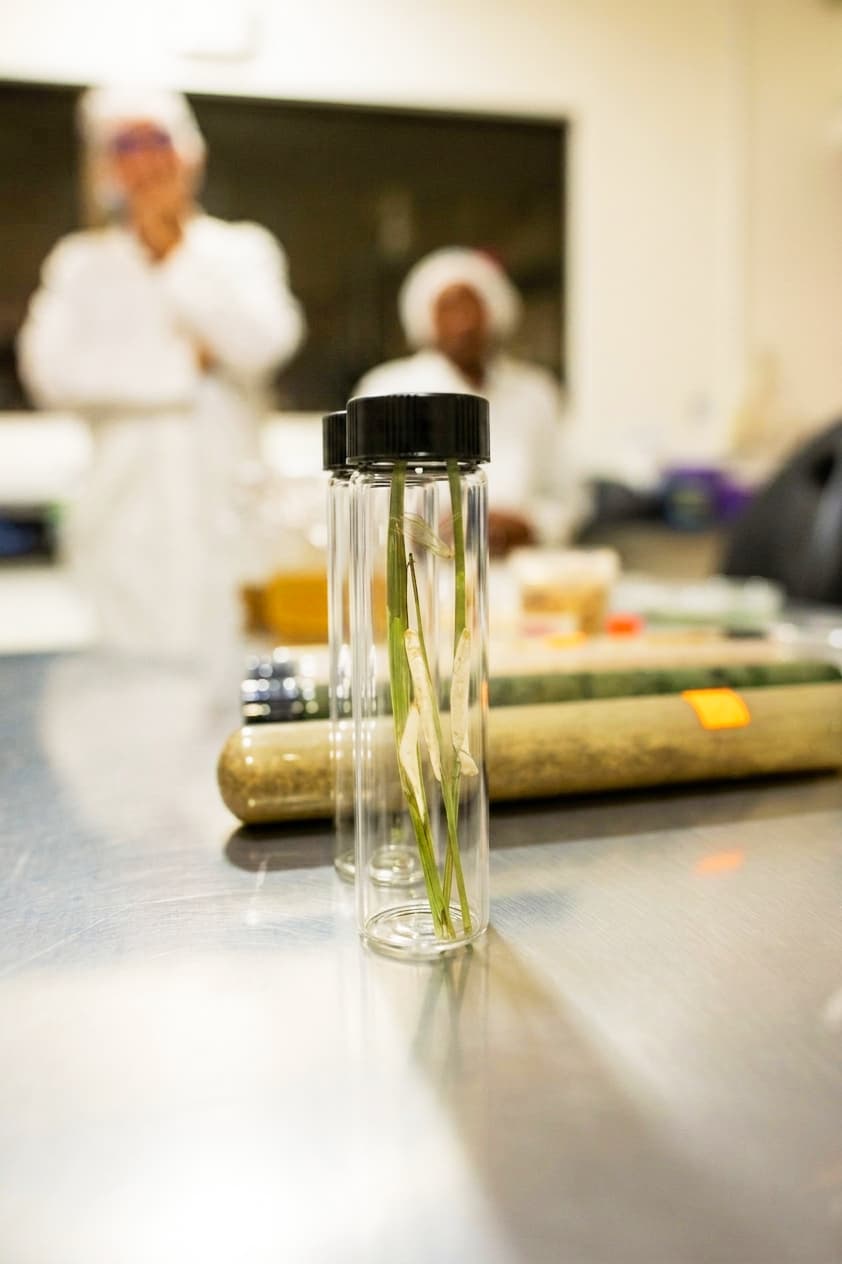 Laboratory equipment for polysaccharide extraction